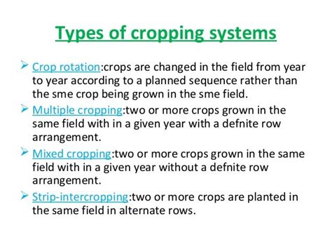 Cereal based cropping system in india