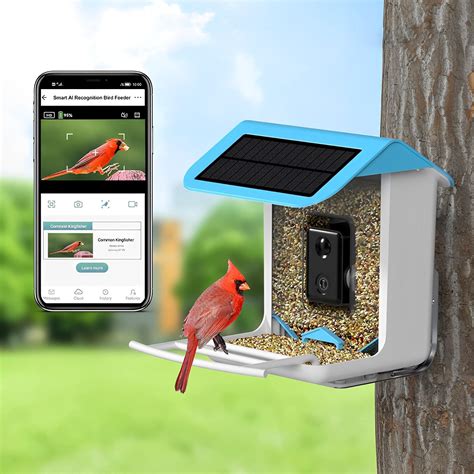 AI-Powered WIFI Smart Bird Feeder Camera