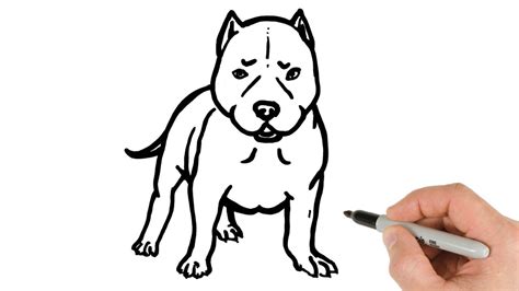 How To Draw A Pitbull Head