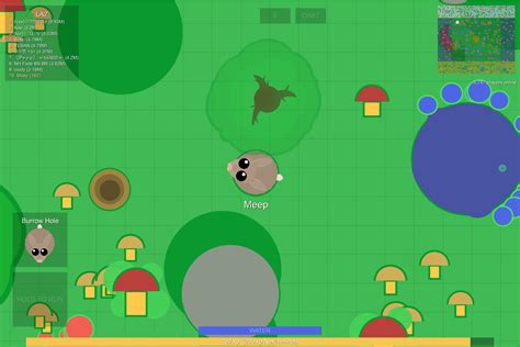 How to Play Mope.io (with Pictures) - wikiHow