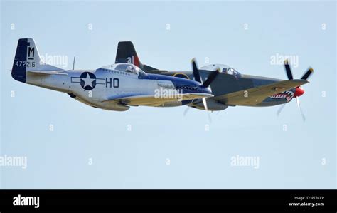 P 51 mustang shark mouth hi-res stock photography and images - Alamy