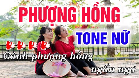 Phượng Hồng Karaoke Tone Nữ Nhạc Sống | Trung Hiếu Karaoke - YouTube