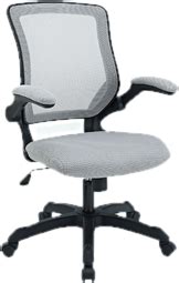 Office Chairs You'll Love | Wayfair