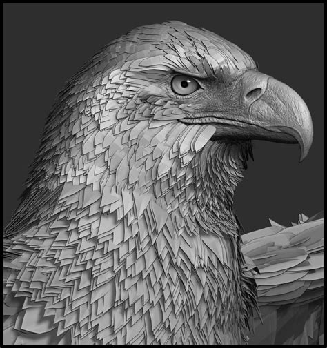 Eagle 3D Model 3D Model OBJ ZTL TGA | CGTrader.com