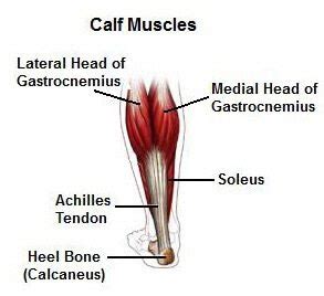 10 Moments To Remember From Muscle Cramps Left Calf. | muscle cramps left calf - #The Expert