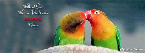 Love Bird Cute Quotes. QuotesGram