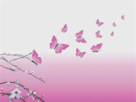 HD Butterflies: Pink butterflies flying wallpaper