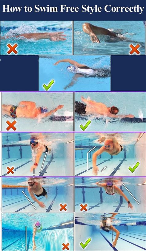 How To Swim Free Style Correctly Pictures, Photos, and Images for ...