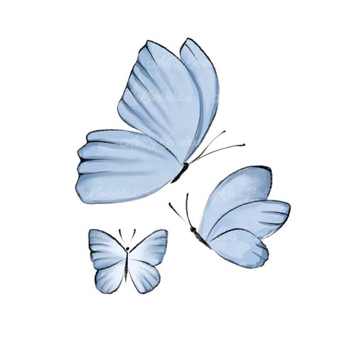 Butterfly Clipart, Watercolor Butterflies PNG, Digital Download - Etsy