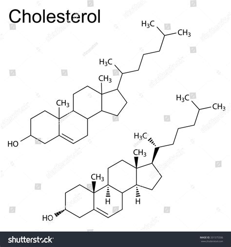 Structural Chemical Formulas Cholesterol Molecule 2d Stock Vector 331575506 - Shutterstock