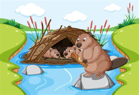 Beavers Dam Stock Illustrations – 109 Beavers Dam Stock Illustrations ...