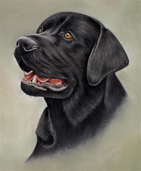 Drawing Young Dogs in Pastel Pencils — The Colin Bradley School of Art