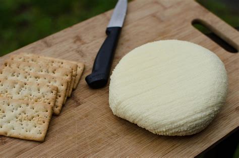 Homemade Cheese - Momsdish