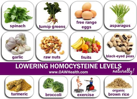 Lowering Homocysteine Levels Naturally | Cholesterol lowering foods ...