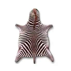 Zebra Skin Rugs - Wildlife Etc LLC