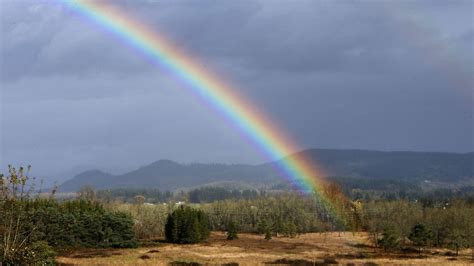 Beautiful Rainbow after the rain. | Pleasant hill, Seattle news, Seatac