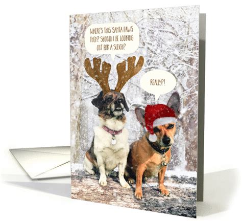 Funny Dog Christmas Card - Snowy Scene and The Santa Paws Mystery card