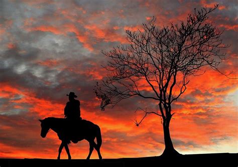 Cowboy Sunset Photograph by KaFra Art - Pixels