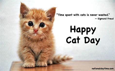 National Cat Day Quotes, Wishes, Captions, Pic, Images, Status 2024 - GSMArena.com