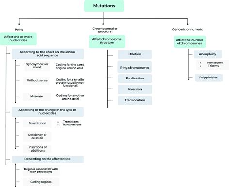 Mutation types classification [14,26,27]. | Download Scientific Diagram