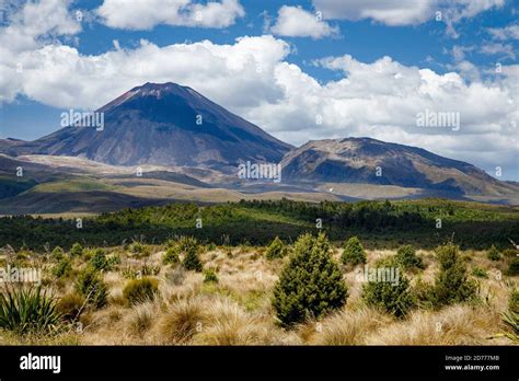 Mount Ngauruhoe, known as Mount Doom in Peter Jackson's Lord of the Rings, a stratovolcano on ...