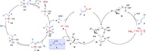 Proposed Mechanism for the Cascade Hydroformylation and Asymmetric... | Download Scientific Diagram