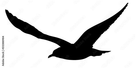 Seagull silhouette. Isolated silhouette of a bird on a white background. Stock 일러스트레이션 | Adobe Stock