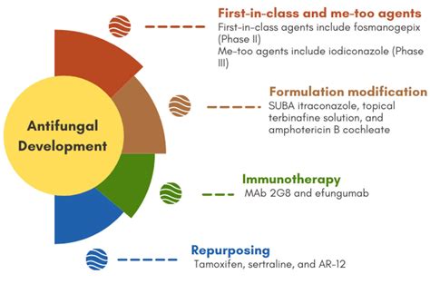 Advances in Antifungal Drug Development: An Up-To-Date Mini Review