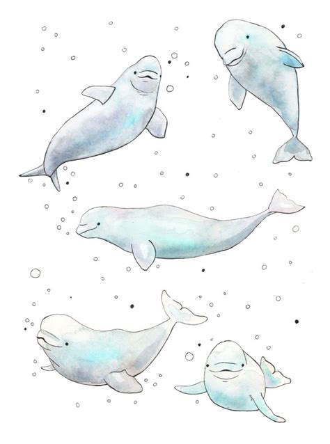 Happy Beluga whales Art Print by Tina van Dijk Art - X-Small | Whale art print, Whale artwork ...