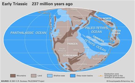 Tethys Sea: Former tropical body of salt water that separated the supercontinent of Laurasia in ...