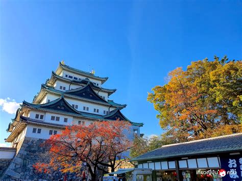 เที่ยวญี่ปุ่น ดอทคอม | Aichi-Nagoya Castle 01 | เที่ยวญี่ปุ่น ดอทคอม