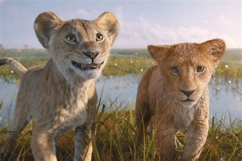 'Mufasa: The Lion King' trailer shows Mufasa and Scar's brotherhood