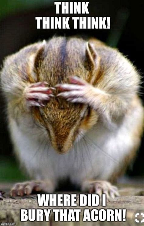 a small rodent sitting on top of a piece of wood with its hands covering it's face