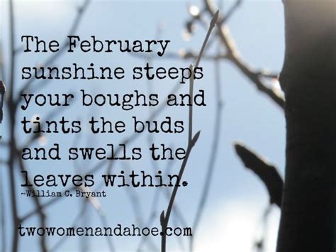 Funny February Quotes And Sayings - ShortQuotes.cc