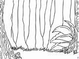 Rainforest Drawing For Kids At PaintingValleycom  Explore Collection sketch template