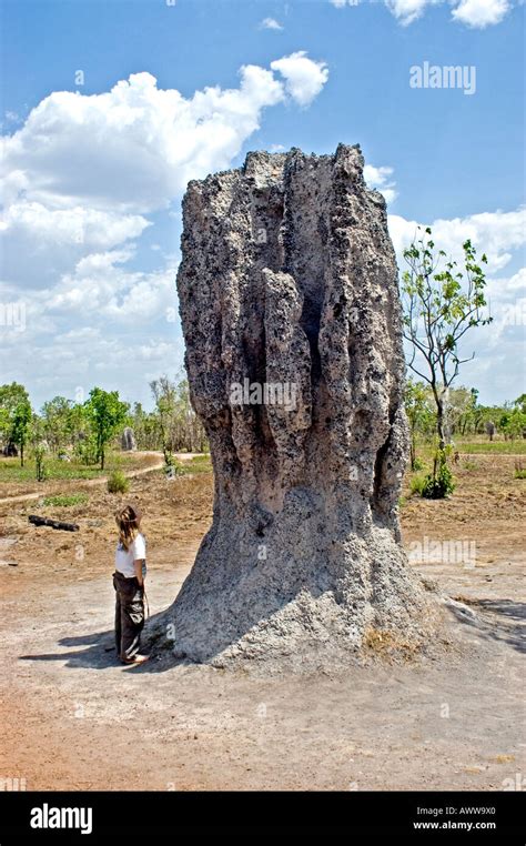 Cathedral Termite Mounds of Kakadu Stock Photo - Alamy