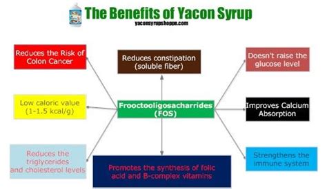 Yacon Syrup Benefits Infographic - The Benefits of Organic Yacon Syrup displayed in an easy to ...