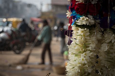 Old Delhi Streets on Behance