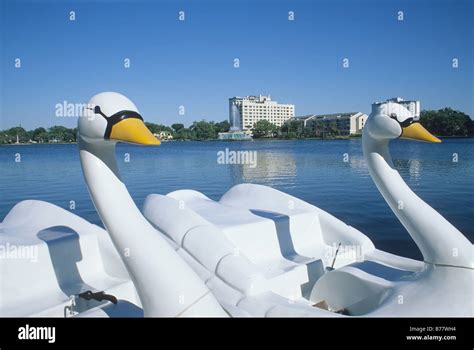 Enchanting Lake Eola Swan Boats: A Timeless Orlando Icon