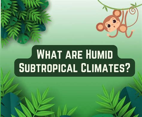 What Causes Humid Subtropical Climate? (Know Here!)