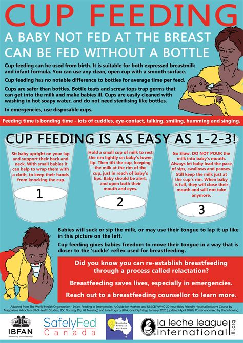 Cup Feeding | La Leche League International