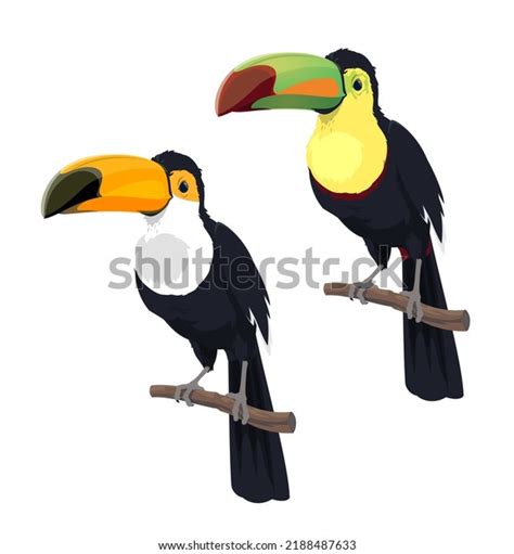 Amazonian Rainforest: Over 661 Royalty-Free Licensable Stock Vectors & Vector Art | Shutterstock