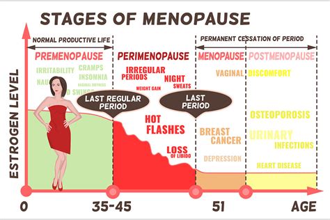 Stages and symptoms of menopause | Custom-Designed Illustrations ~ Creative Market