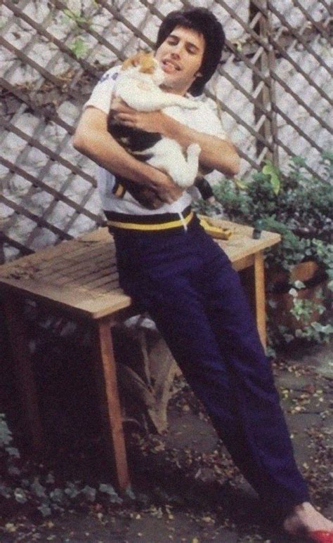 20 Vintage Photos Of Freddie Mercury And His Cats That Show His Love For Them Was Unconditional ...