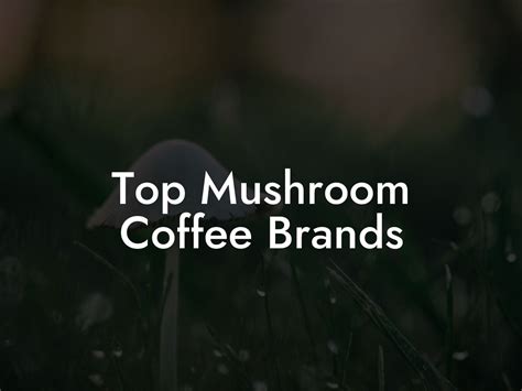 Top Mushroom Coffee Brands - Mr Mushroom