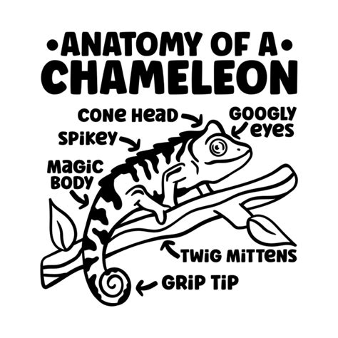 Chameleon Anatomy Of A Chameleon - Chameleon - T-Shirt | TeePublic