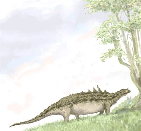 Polacanthus Pictures & Facts - The Dinosaur Database