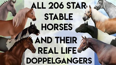 What Are All The Horse Breeds In Star Stable - Login pages Info