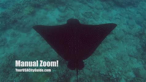 Snorkeling in Napili Bay and Honokeana Cove , Maui, Hawaii - Swimming ...