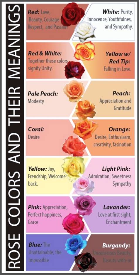 The Real Meaning Of The Different Rose Colors